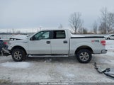 Ford F150 Supercrew 1FTFW1EF5CFA49675 снимка
