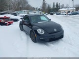 Volkswagen Beetle 3VWJL7AT4DM623540 снимка