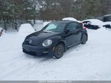 Volkswagen Beetle 3VWJL7AT4DM623540 снимка