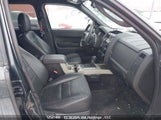 Ford Escape Xlt 1FMCU93G09KD03274 снимка
