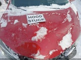 Toyota Corolla Le 2T1BURHE2KC179197 снимка