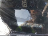 Acura Rdx 5J8TB4H31GL802385 снимка