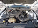 Ford Mustang 1FA6P8AM6G5217562 снимка