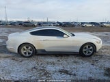 Ford Mustang 1FA6P8AM6G5217562 снимка