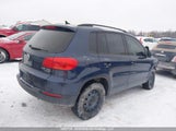 Volkswagen Tiguan Comfortline/Highline/Special Edition/Trendline WVGJV7AX8FW594204 снимка