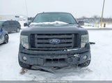 Ford F-150 Fx4/Harley-Davidson/Lariat/Xlt 1FTFW1EV6AFD27908 photo