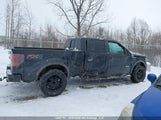 Ford F-150 Fx4/Harley-Davidson/Lariat/Xlt 1FTFW1EV6AFD27908 fotografie