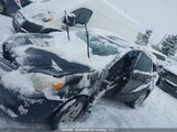Toyota Matrix Wagon 2T1KR32E87C627781 снимка