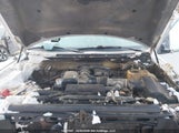 Ford F-150 Fx4/Lariat/Svt Raptor/Xl/Xlt/Xlt W/Midbox Prep 1FTFX1EV7AFC86671 fotografie