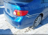 Toyota Corolla 2T1BU40E69C065194 снимка