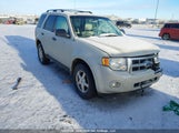 Ford Escape Xlt 1FMCU93G29KC00244 снимка