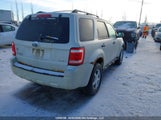 Ford Escape Xlt 1FMCU93G29KC00244 снимка