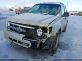 Ford Escape Xlt 1FMCU93G29KC00244 снимка