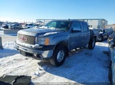 GMC Sierra K1500 Sle 3GTP2VE79DG334492 снимка