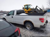 Ford F150 1FTMF1CM9DKE47747 снимка