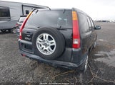 Honda Cr-V Ex JHLRD77833C814892 photo
