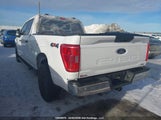 Ford F-150 Xlt 1FTFW1E83MFC67830 снимка