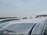 Chevrolet Equinox Ls 2GNALBEK2C1124093 снимка