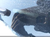 Kia Niro Ex KNDCC3LG2M5093823 снимка