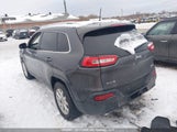 Jeep Cherokee North 1C4PJMCS7GW173666 снимка