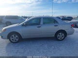 Toyota Corolla Ce/Le/S 2T1BR32E85C919847 снимка