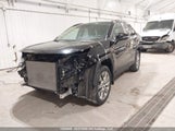 Toyota Rav4 Xle/Xle Premium 2T3R1RFV4LC080495 photo