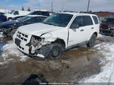Ford Escape Hybrid 1FMCU49339KD12607 снимка
