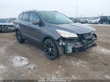 Ford Escape Titanium 1FMCU9J96EUA16668 fotografie