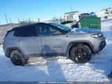 Jeep Compass Trailhawk 3C4NJDDN6PT567729 снимка