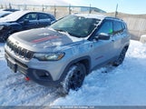 Jeep Compass Trailhawk 3C4NJDDN6PT567729 снимка