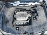 Acura Tsx JH4CU4F43AC800387 снимка