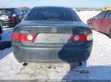 Acura Tsx JH4CL96865C803065 снимка