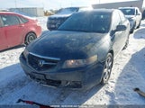Acura Tsx JH4CL96865C803065 снимка