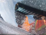 Acura Tsx JH4CL96865C803065 снимка