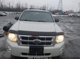 Ford Escape Xlt 1FMCU03198KB24379 снимка
