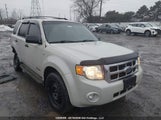 Ford Escape Xlt 1FMCU03198KB24379 снимка