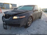 Acura 3.2Tl 19UUA65606A804592 снимка