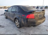 Acura 3.2Tl 19UUA65606A804592 снимка