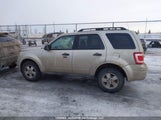 Ford Escape Xlt Automatic 1FMCU9D78AKC21148 photo