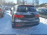 Acura Rdx Technology 5J8TB18527A801886 снимка