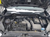 Volkswagen Taos 3VVCX7B23PM339814 снимка