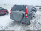 Honda Cr-V Se/Ex JHLRD78976C806841 снимка