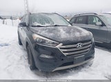 Hyundai Tucson Limited/Sport And Eco/Se KM8J3CA24HU268420 photo