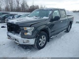 Ford F-150 Xlt 1FTEW1EG2GFA25957 снимка