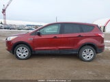 Ford Escape S 1FMCU0F76EUA17113 fotografie