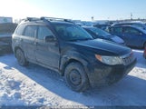 Subaru Forester 2.5X JF2SHCBC8DH421581 снимка