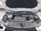 Chrysler Pacifica Limited 2C4RC1GGXSR601528 fotografie