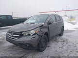Honda Cr-V Ex 2HKRM4H52EH107287 снимка