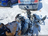 Polaris SN1CEE5T1NC808729 снимка