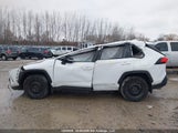 Toyota Rav4 Le 2T3BWRFV3MW106460 снимка